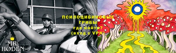 MDMA Premium VHQ Верхний Тагил